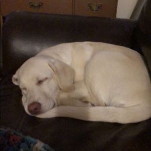 Meet your Posher, Lydia